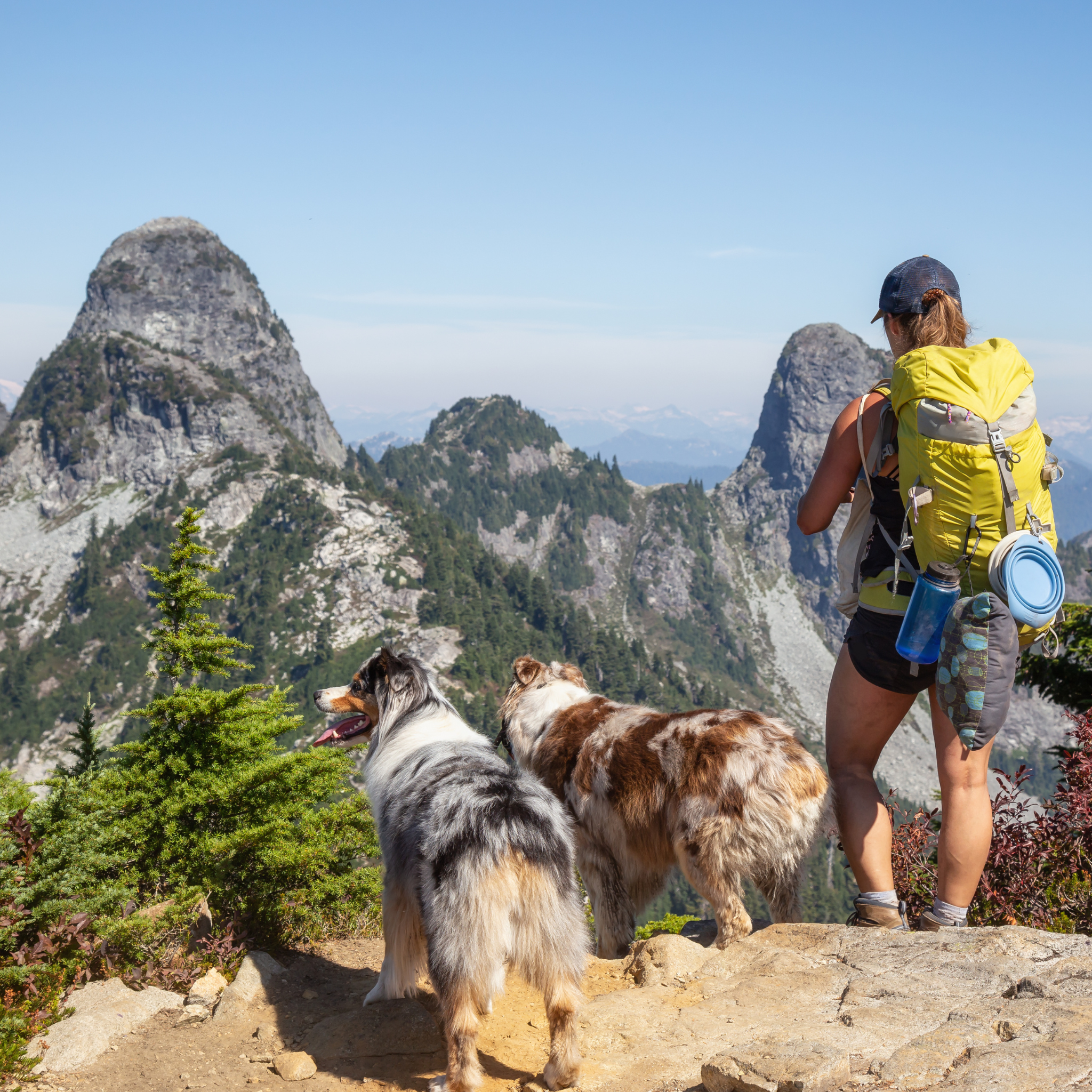 How to Keep Your Dog Hydrated During Hiking, Travel, and Outdoor Adventures