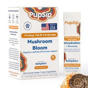 Mushroom Bloom-Digestive Wellness & Immune Support