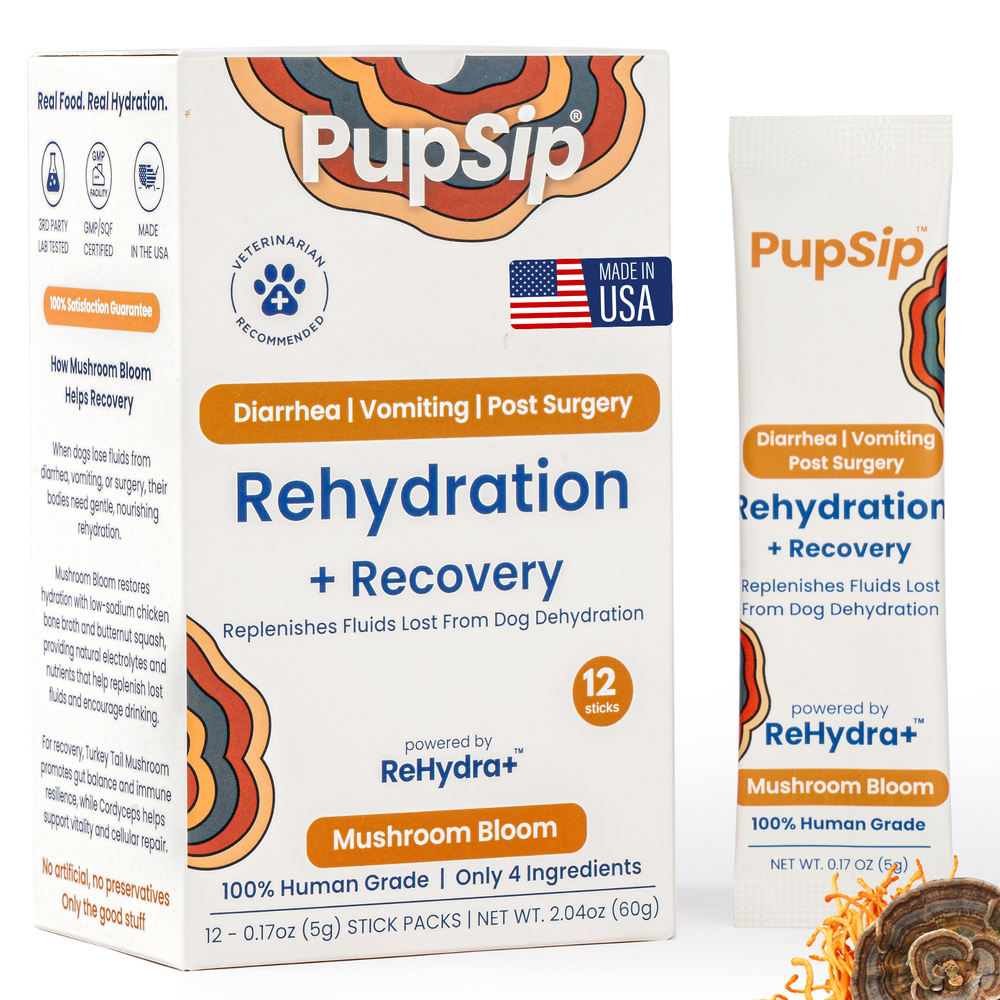 Mushroom Bloom- Hydration & Recovery Support