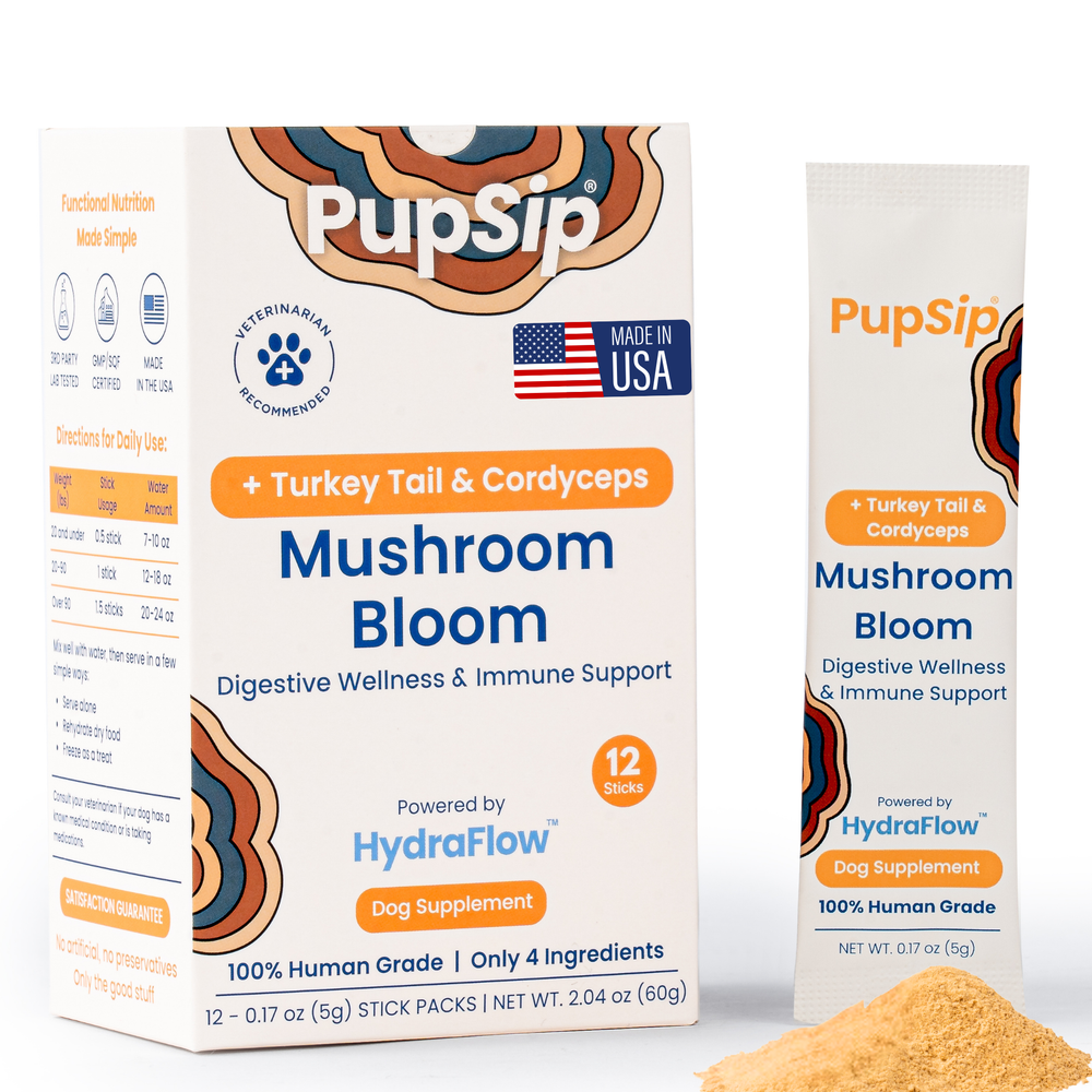 Mushroom Bloom - Hydration + Gut Support