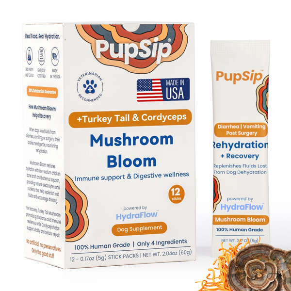 Mushroom Bloom-Immune Support & Digestive Wellness