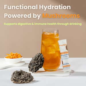 Mushroom Bloom-Digestive Wellness & Immune Support