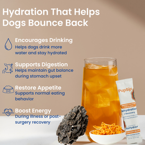 Mushroom Bloom- Hydration & Recovery Support