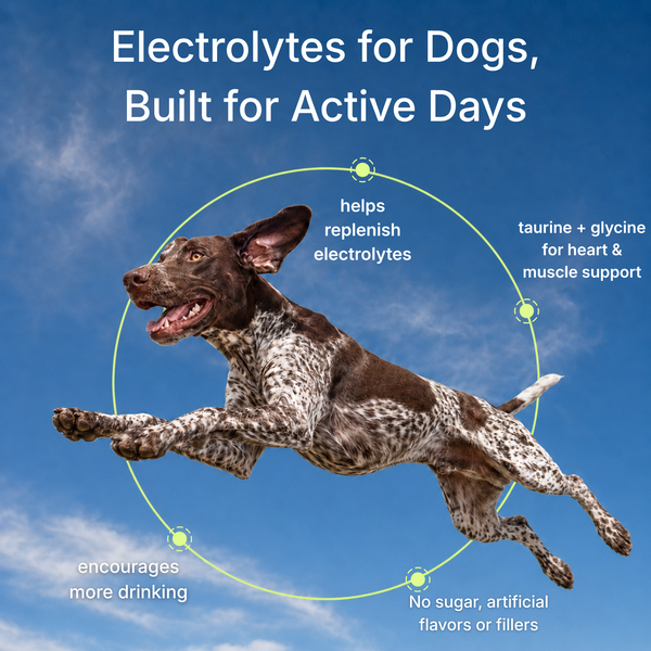 Dog Electrolytes- Hydration with Taurine