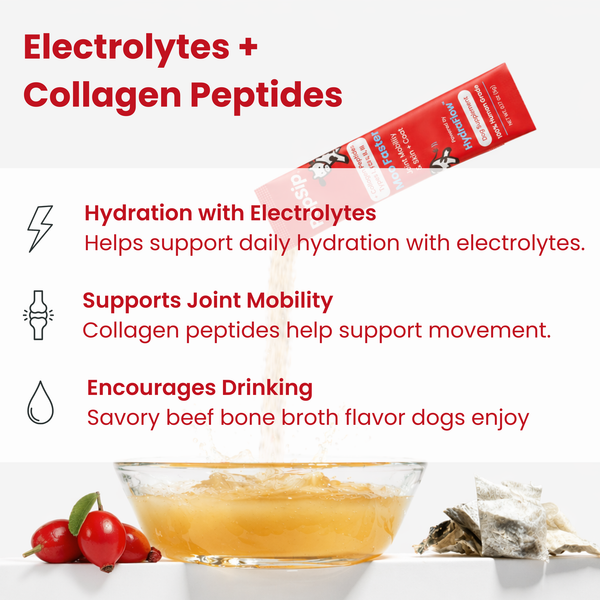 Moo Faster-Hydration & Mobility Support with Collagen