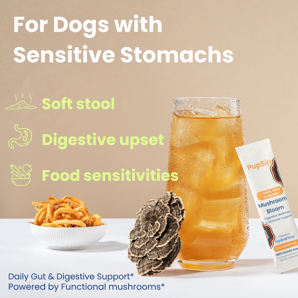 Mushroom Bloom- Sensitive Stomach & Gut Health Support