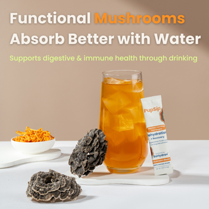 Mushroom Bloom-Immune Support & Digestive Wellness