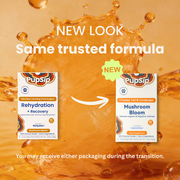 Mushroom Bloom-Immune Support & Digestive Wellness