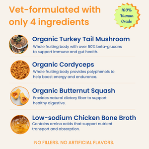 Mushroom Bloom-Immune Support & Digestive Wellness