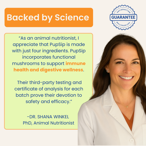 Mushroom Bloom-Immune Support & Digestive Wellness