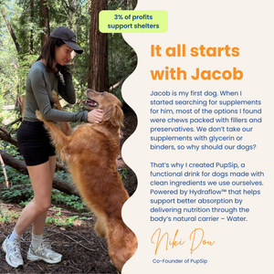 Mushroom Bloom-Immune Support & Digestive Wellness