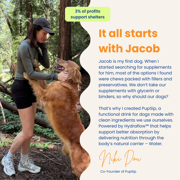 Mushroom Bloom-Immune Support & Digestive Wellness