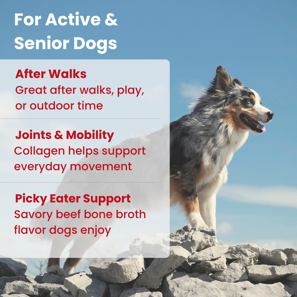 Moo Faster-Hydration & Mobility Support with Collagen