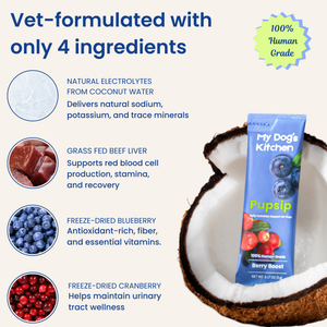 Natural Electrolytes — Berry Boost Dog Hydration Support