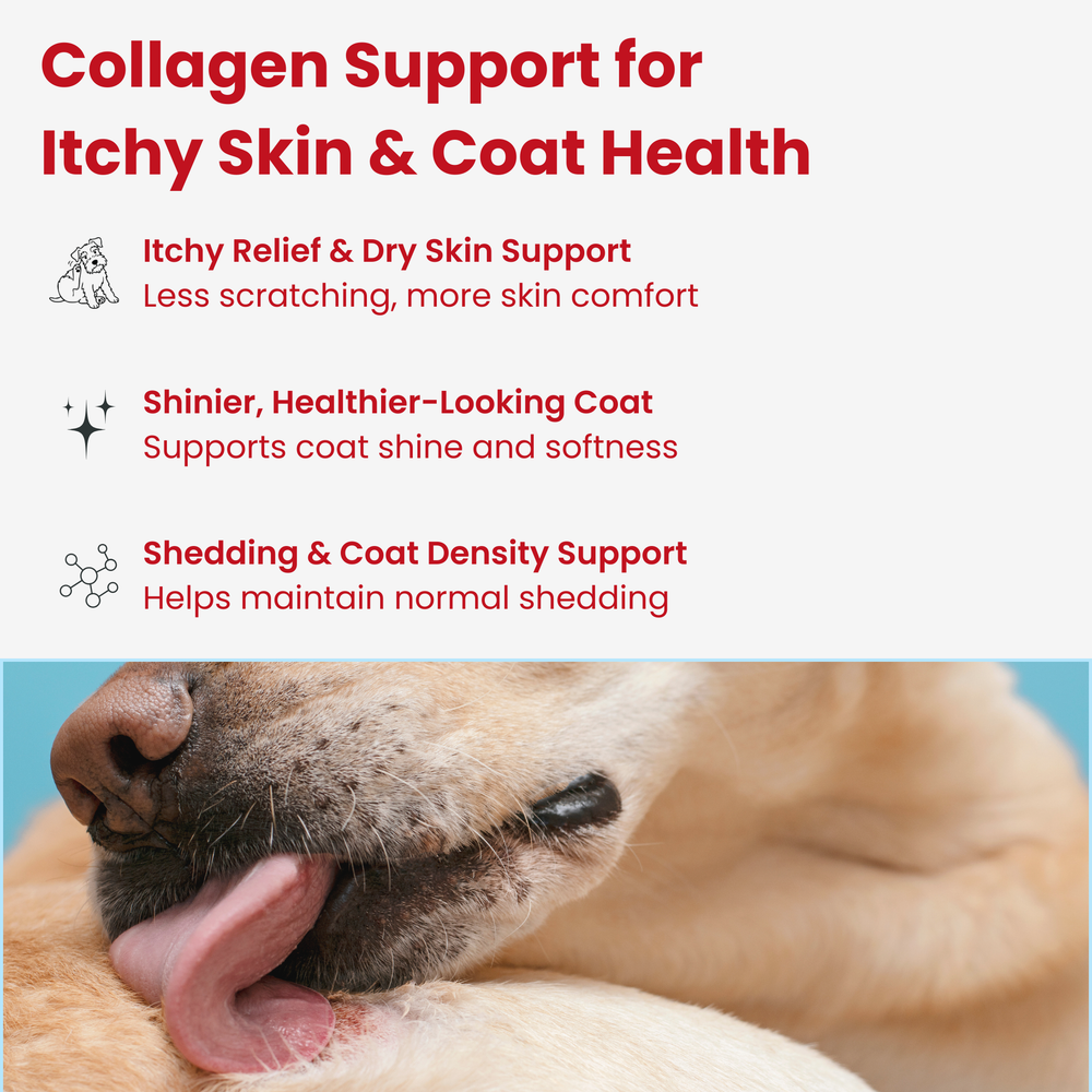 Moo Faster-Itchy Skin & Coat Health