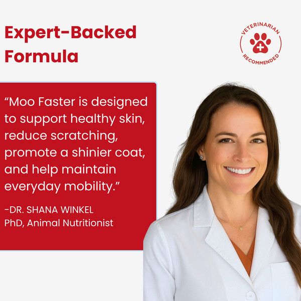 Moo Faster-Itchy Skin & Coat Health