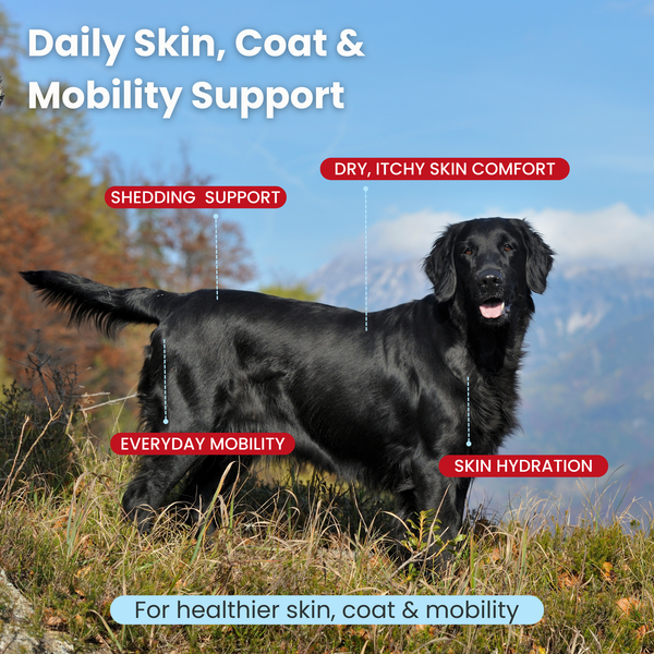 Moo Faster-Itchy Skin & Coat Health