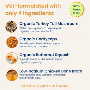 Mushroom Bloom-Digestive Wellness & Immune Support