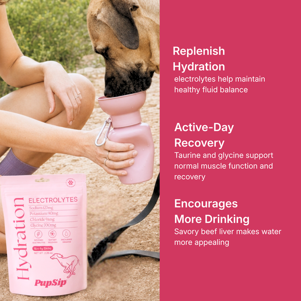 Dog Electrolytes- Hydration with Taurine