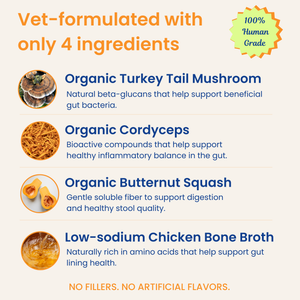 Mushroom Bloom- Sensitive Stomach & Gut Health Support