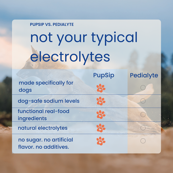 Natural Electrolytes — Berry Boost Dog Hydration Support