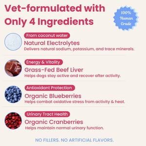 Berry Boost-Dog Electrolytes
