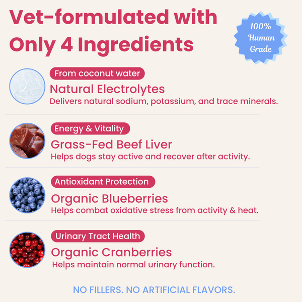 Berry Boost-Dog Electrolytes