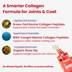Moo Faster-Joint Mobility and Skin & Coat Health
