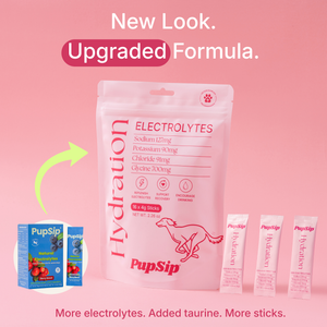 Dog Electrolytes- Hydration with Taurine