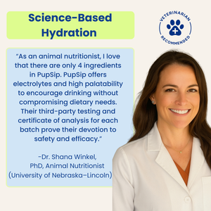 Natural Electrolytes — Berry Boost Dog Hydration Support