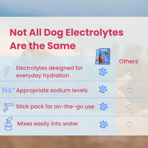 Berry Boost-Dog Electrolytes