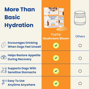 Mushroom Bloom - Hydration + Gut Support