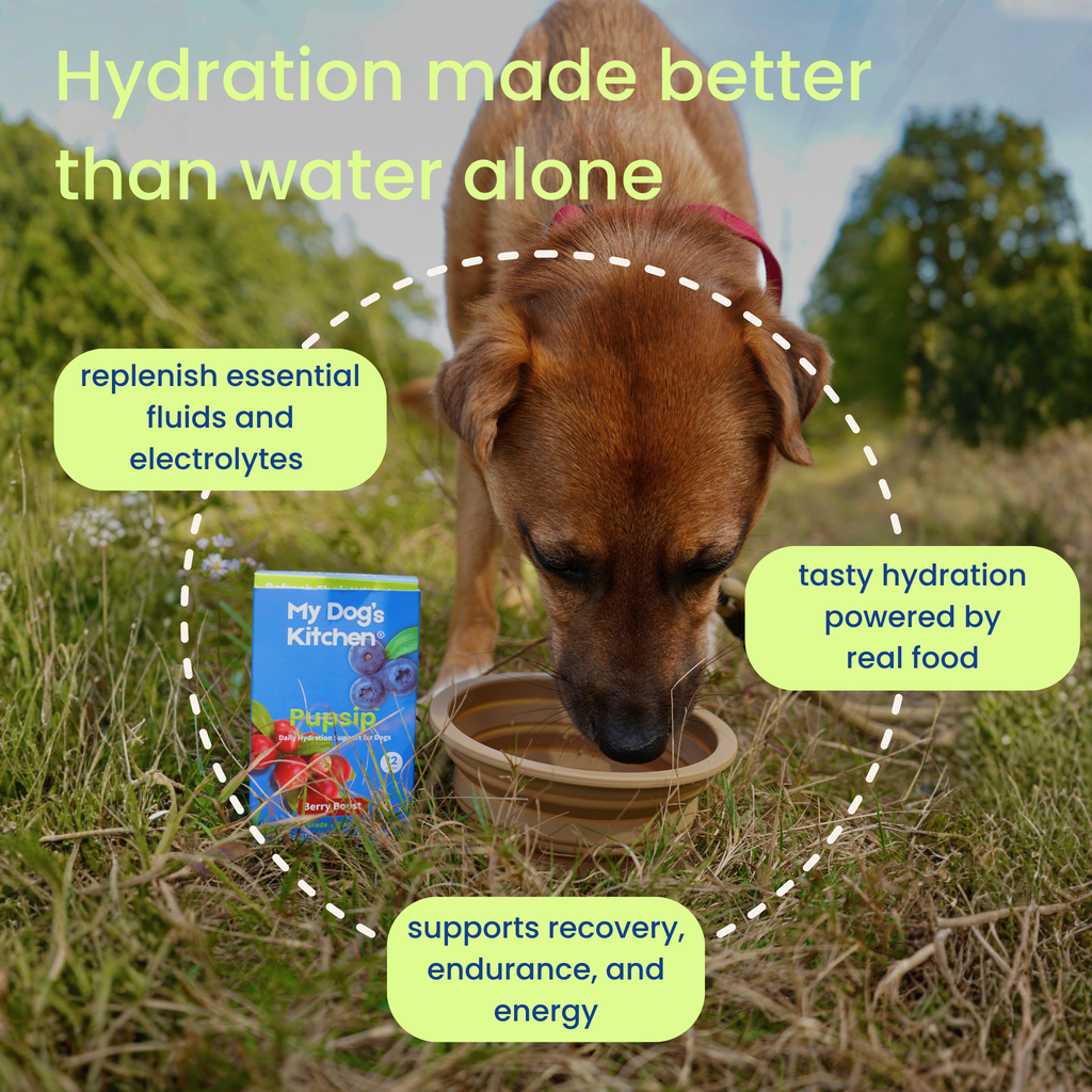 PupSip Berry Boost Natural Electrolytes Hydration Mix for dogs – 12 sticks