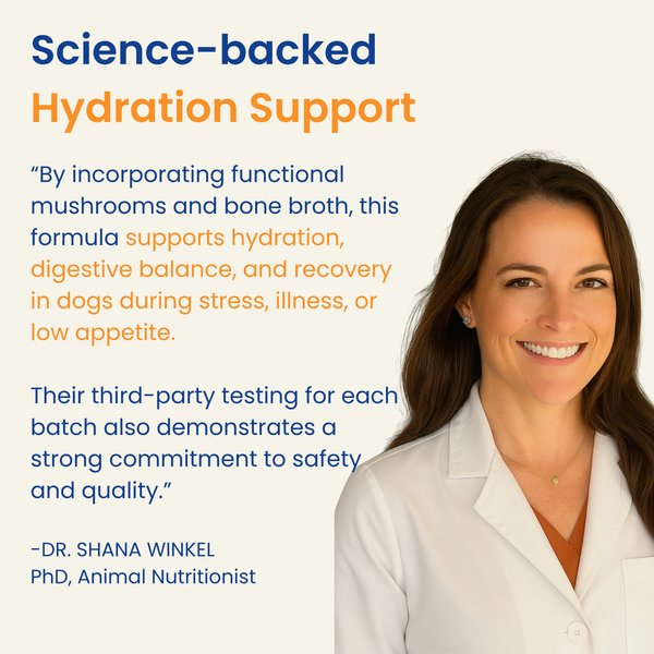 Mushroom Bloom- Hydration & Recovery Support