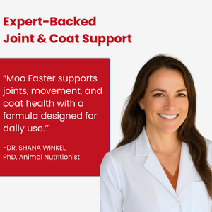 Moo Faster-Joint Mobility and Skin & Coat Health