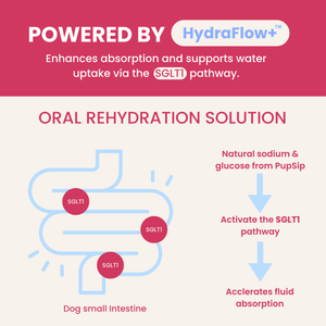 Berry Boost-Dog Electrolytes