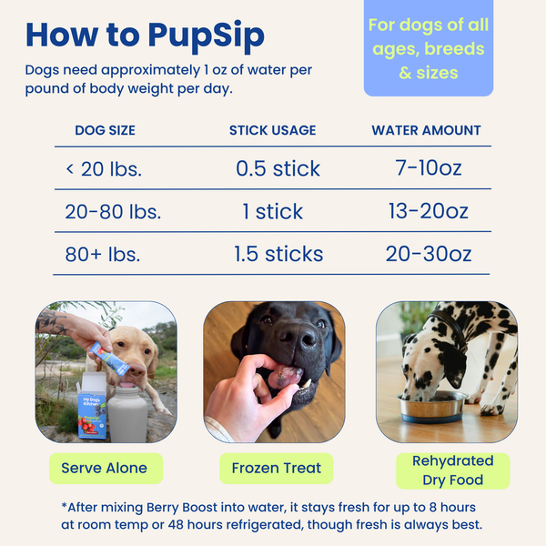 Natural Electrolytes — Berry Boost Dog Hydration Support