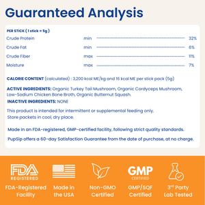 Mushroom Bloom- Hydration & Recovery Support
