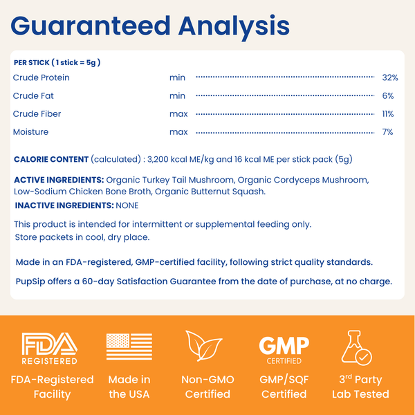 Mushroom Bloom- Hydration & Recovery Support