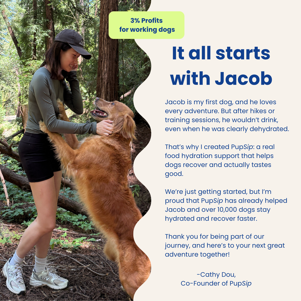 PupSip Berry Boost Natural Electrolytes Hydration Mix for dogs – 12 sticks