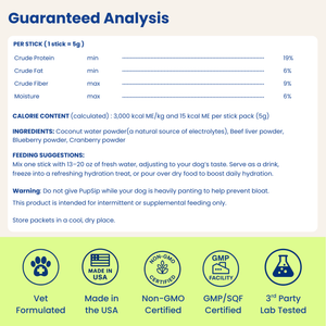 Natural Electrolytes — Berry Boost Dog Hydration Support