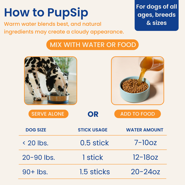 Mushroom Bloom- Hydration & Recovery Support