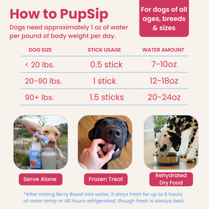 Berry Boost-Dog Electrolytes