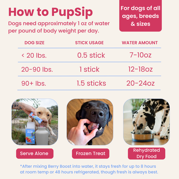Berry Boost-Dog Electrolytes