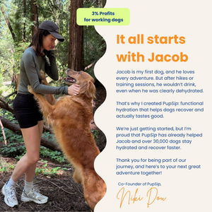 Mushroom Bloom-Digestive Wellness & Immune Support