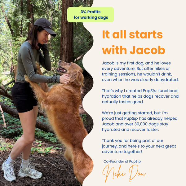 Mushroom Bloom-Digestive Wellness & Immune Support