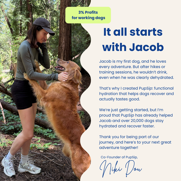 Natural Electrolytes — Berry Boost Dog Hydration Support