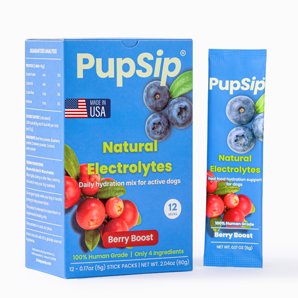 Natural Electrolytes — Berry Boost Dog Hydration Support