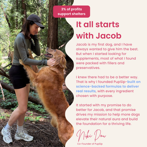 Berry Boost-Dog Electrolytes