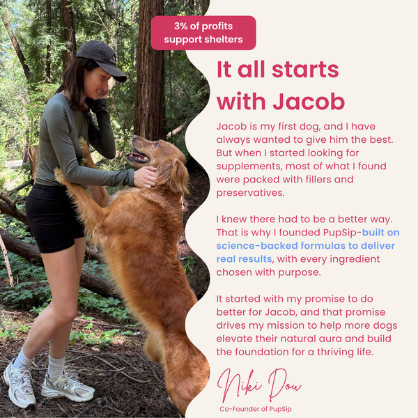 Berry Boost-Dog Electrolytes